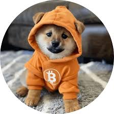 Dog Go To The Moon Logo